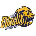 埃夫勒队徽