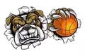 斗牛犬队徽