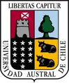 智利南方大学U21队徽