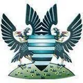 萨里斯贝利队徽