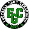 甘索任队徽