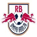 RB大宫松鼠女足队徽