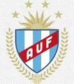 德尔苏雷斯特大学FC队徽