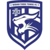武汉三镇U15队徽