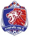 泰港U21队徽