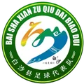 白沙队队徽