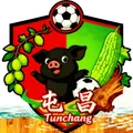 屯昌队队徽